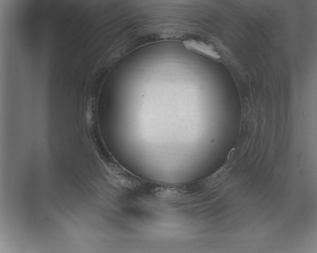 X0000073980074200609111819