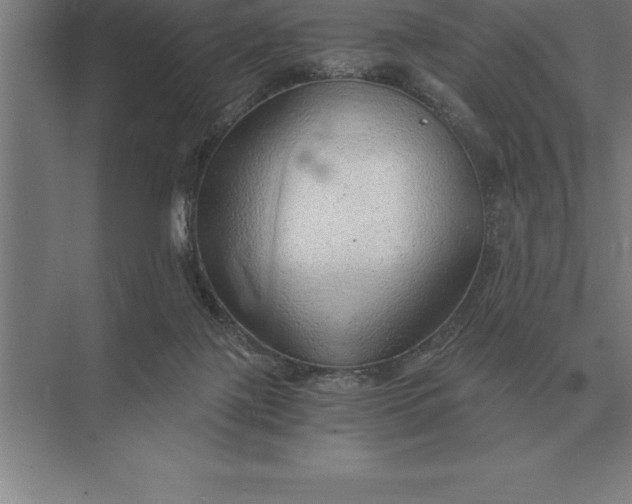 X0000073980075200609111819