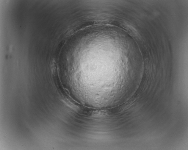 X0000073980077200609111819