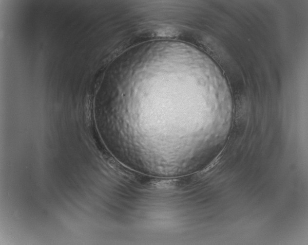 X0000073980078200609111819