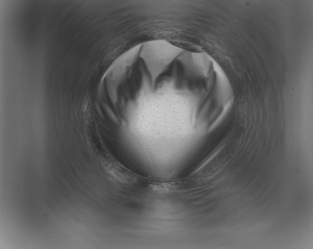 X0000073980079200609111819