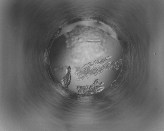 X0000073980081200609111819