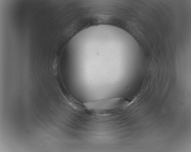 X0000073980082200609111819