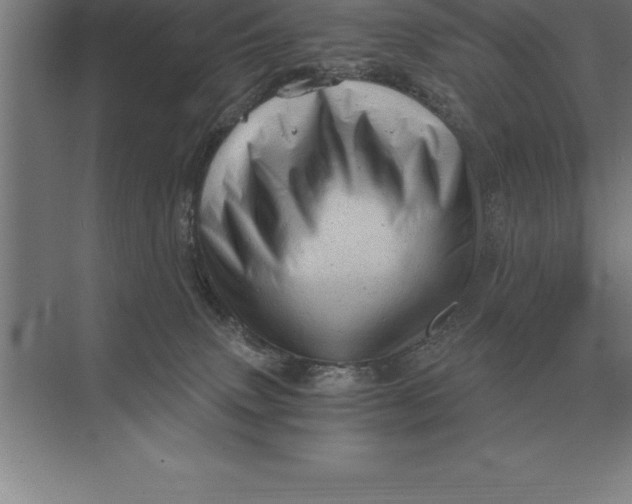 X0000073980083200609111819