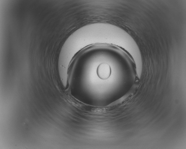 X0000073980084200609111819