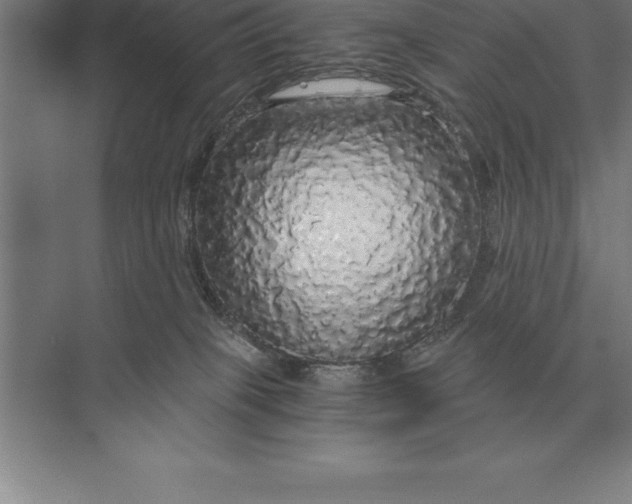 X0000073980085200609111819