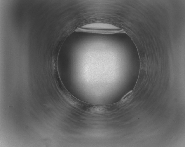 X0000073980086200609111819