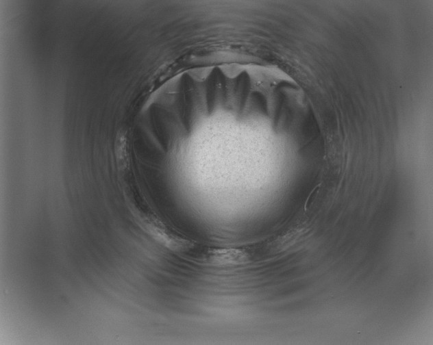 X0000073980087200609111819