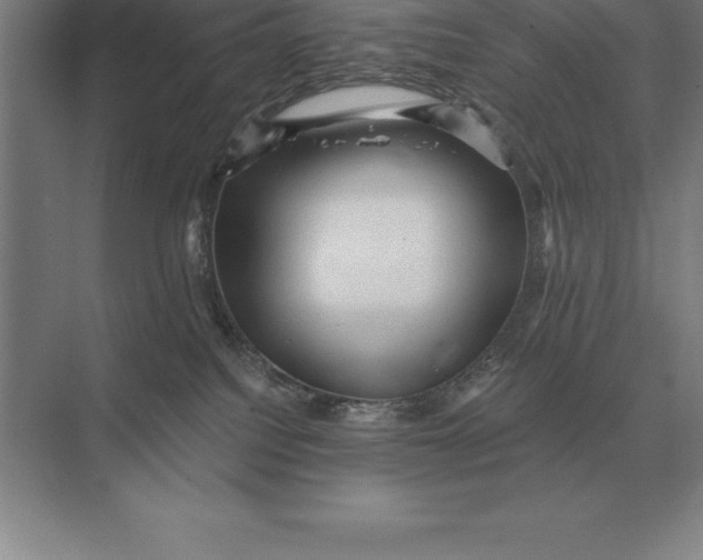 X0000073980088200609111819