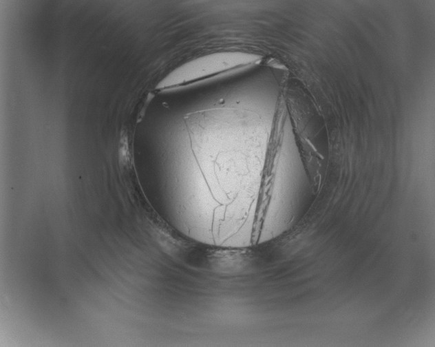 X0000073980089200609111819