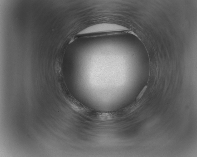 X0000073980091200609111819