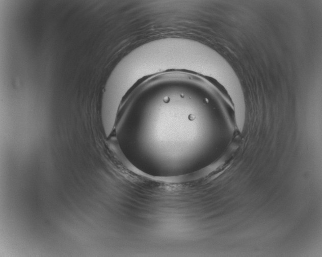 X0000073980092200609111819