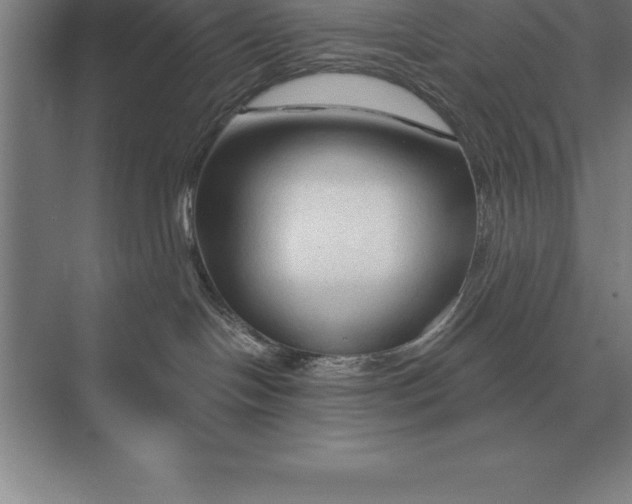 X0000073980094200609111819