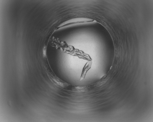 X0000073980095200609111819