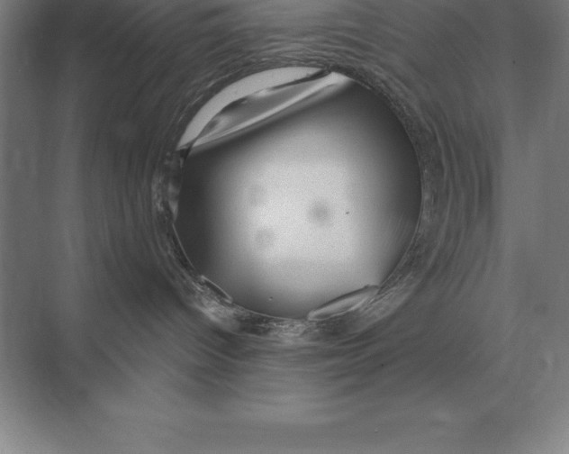 X0000073980096200609111819