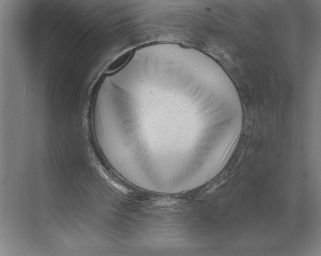 X0000073980098200609111818