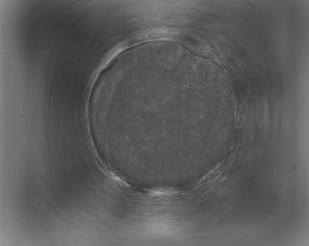 X0000073980099200609111818