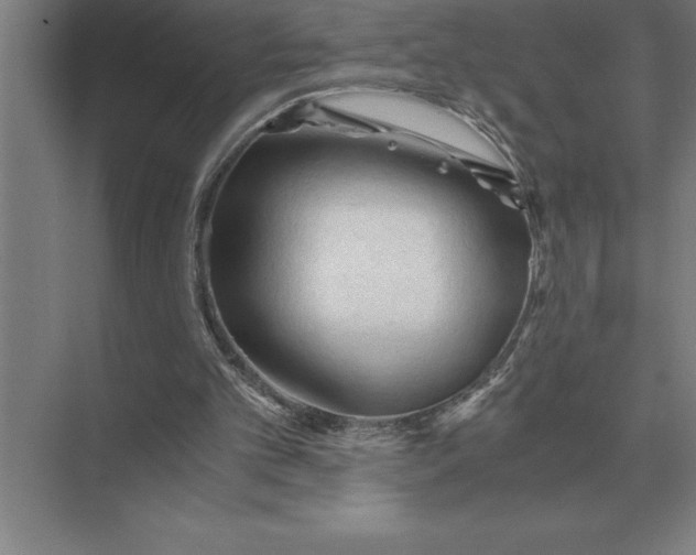 X0000073980101200609111818