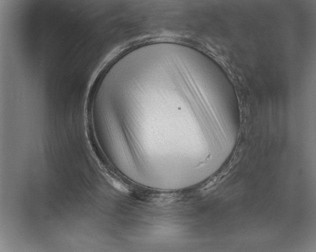 X0000073980102200609111818