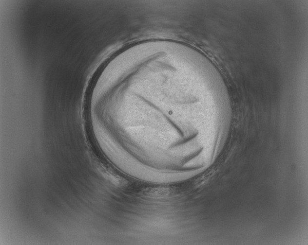 X0000073980104200609111818