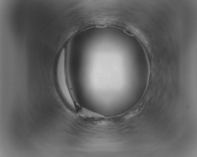 X0000073980105200609111818