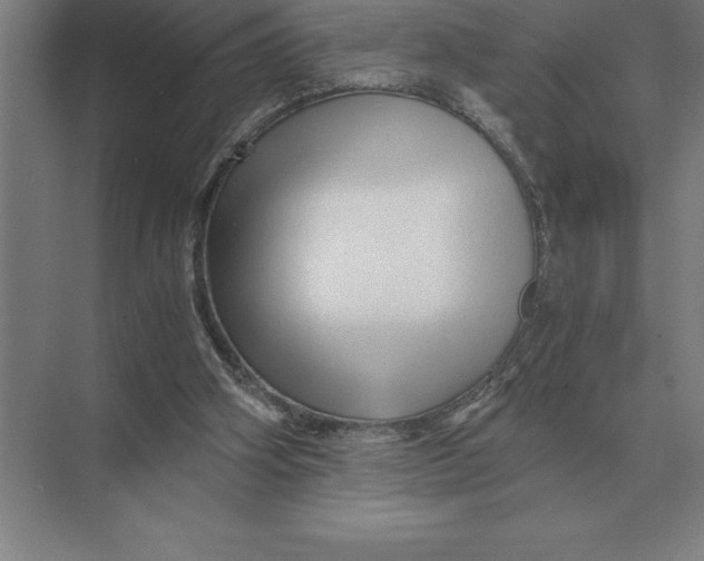 X0000073980106200609111818