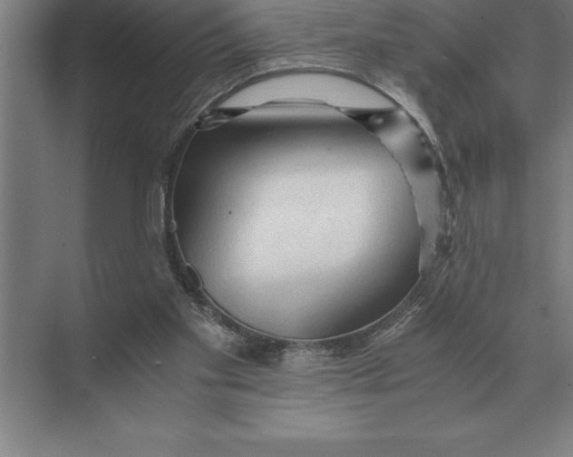 X0000073980109200609111818