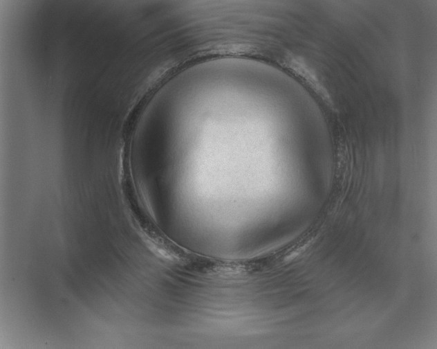 X0000073980110200609111818