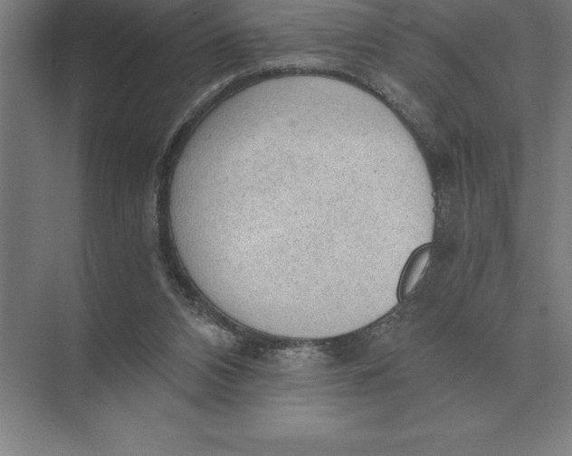 X0000073980112200609111818