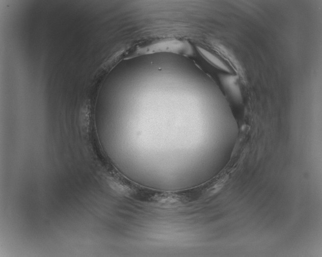 X0000073980113200609111818