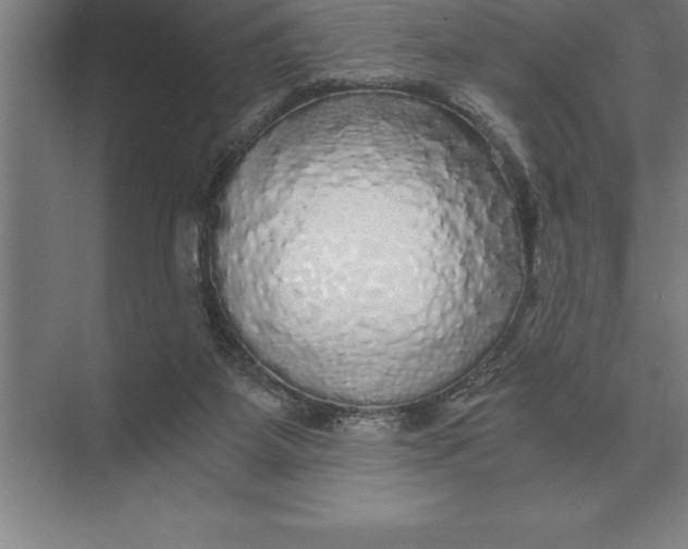 X0000073980115200609111818