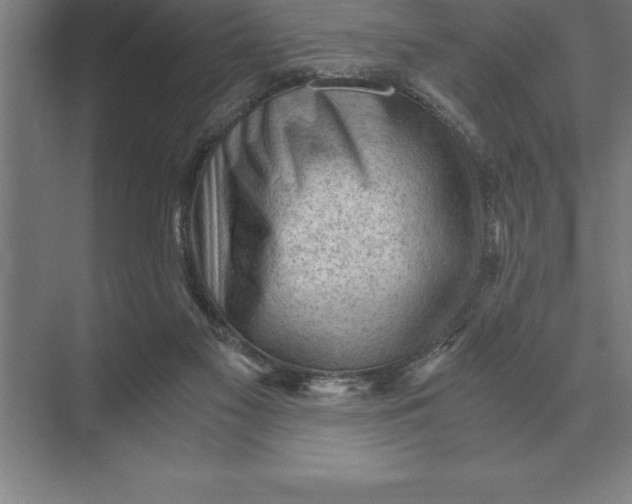 X0000073980117200609111818