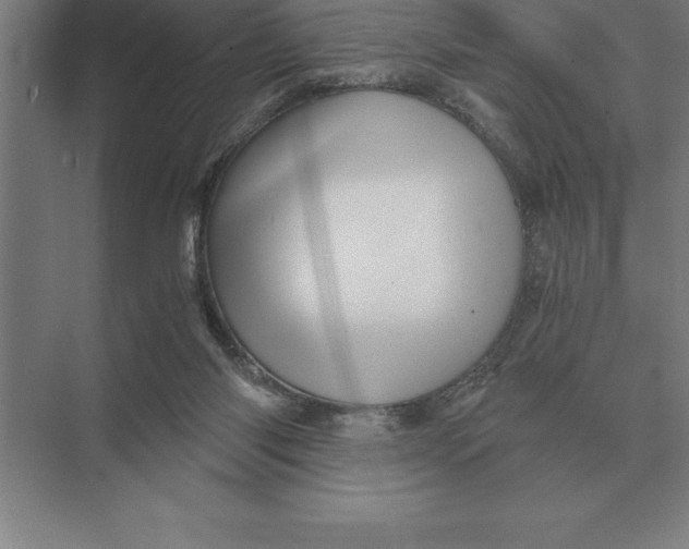 X0000073980118200609111818