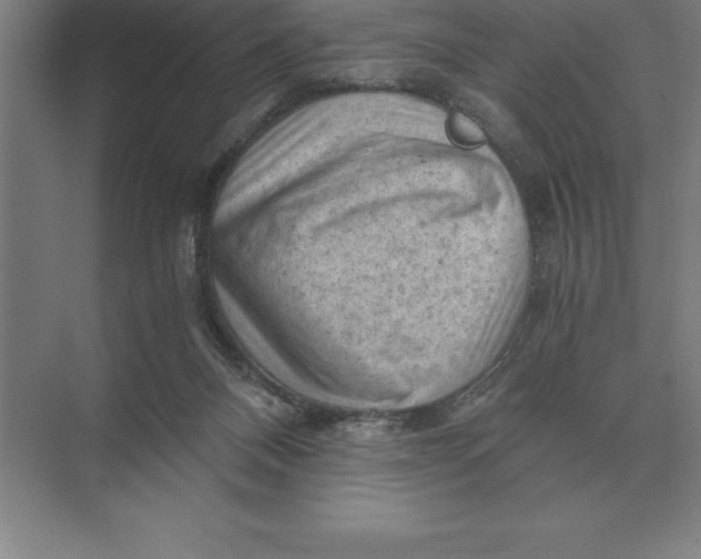 X0000073980120200609111818