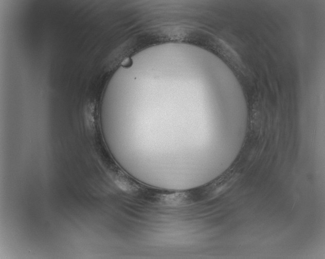 X0000073980122200609111818