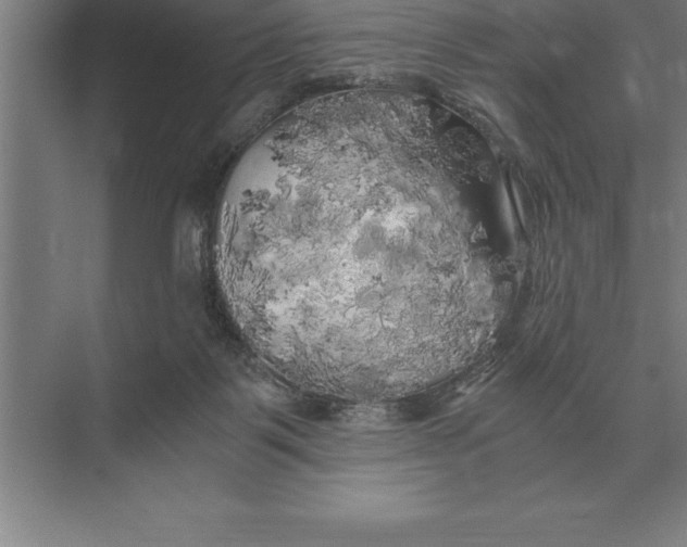 X0000073980123200609111818