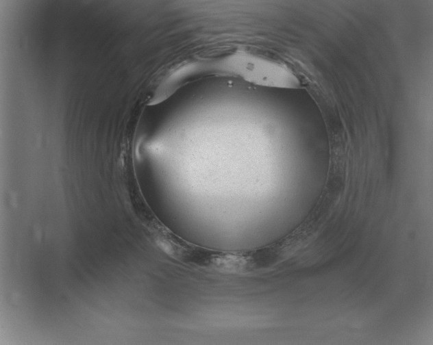 X0000073980125200609111818