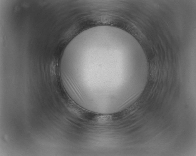 X0000073980126200609111818