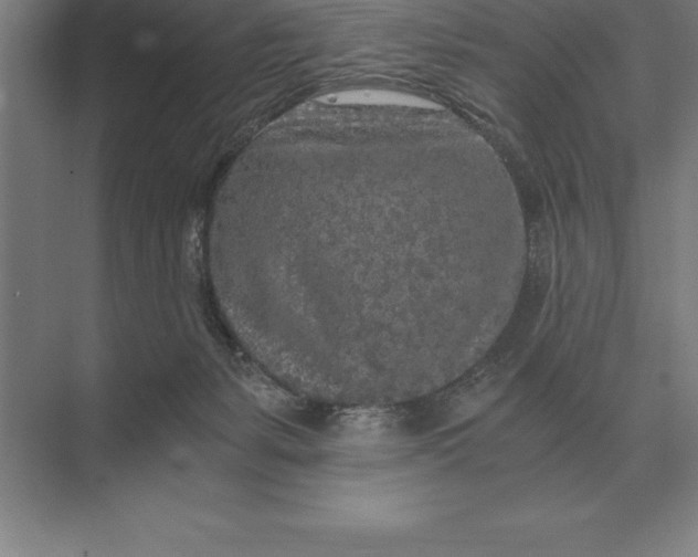 X0000073980127200609111818