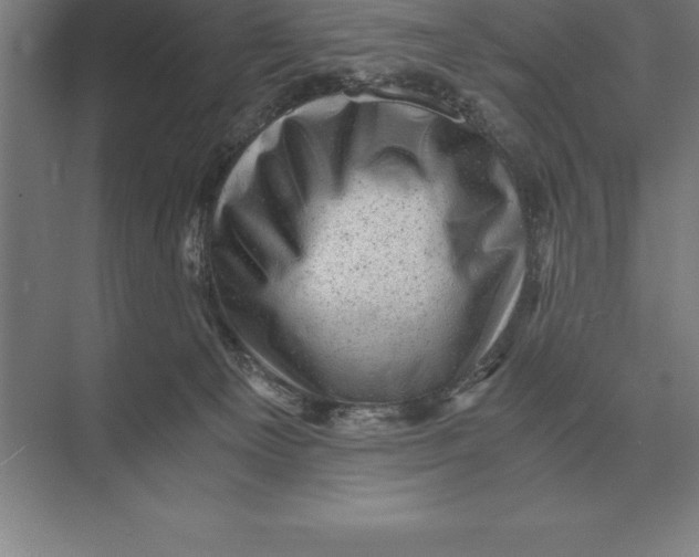 X0000073980129200609111818