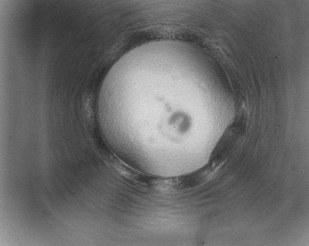 X0000073980131200609111818