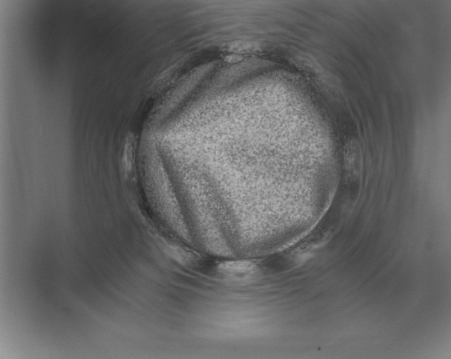 X0000073980133200609111818