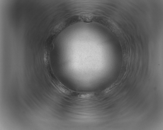 X0000073980134200609111818