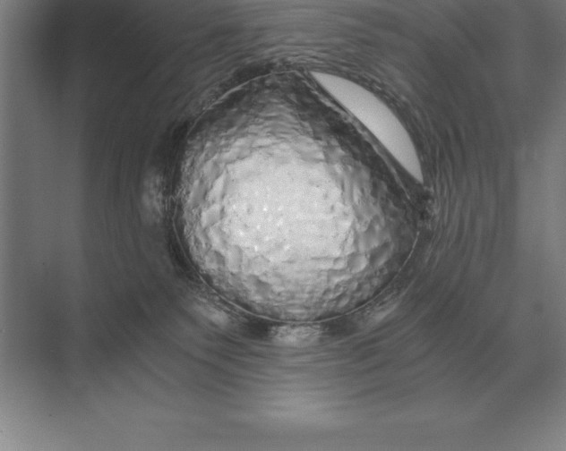 X0000073980135200609111818