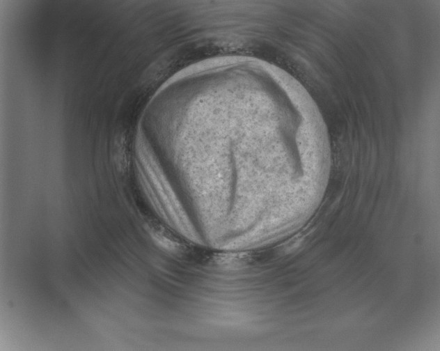 X0000073980136200609111817