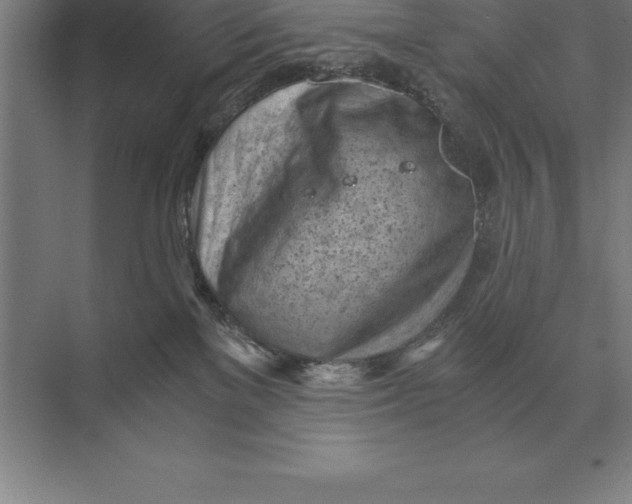 X0000073980137200609111817