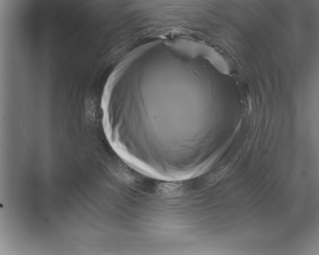 X0000073980139200609111817