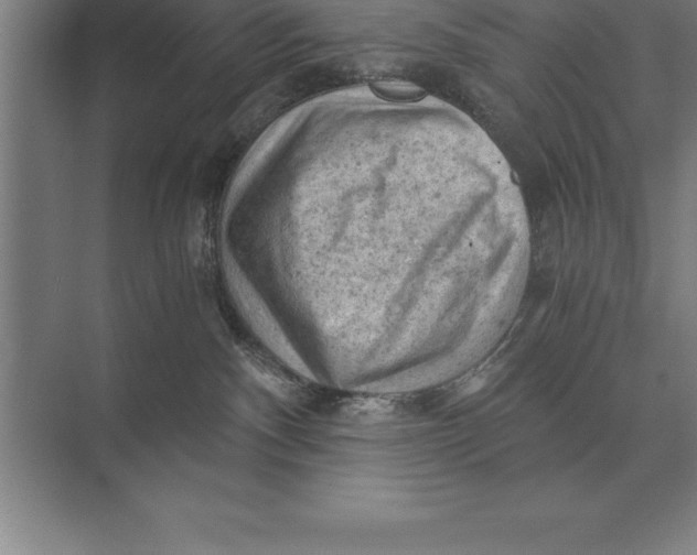 X0000073980140200609111817