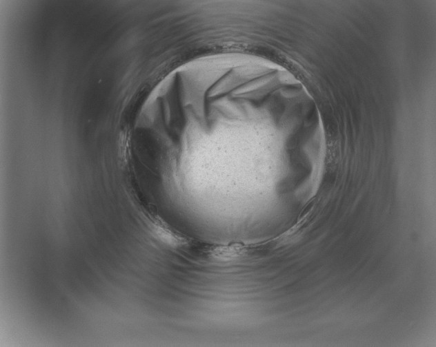 X0000073980142200609111817