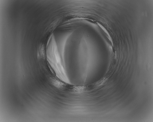 X0000073980143200609111817